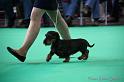 Crufts2011_2 860